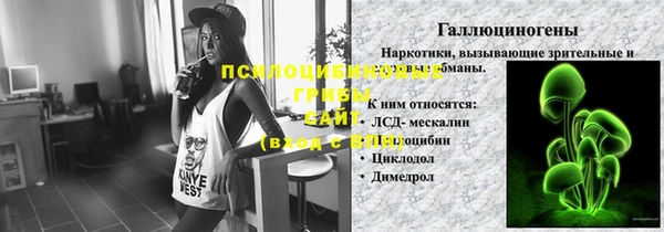 мдпв Рославль