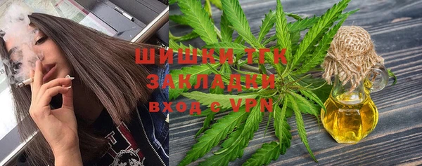 мдпв Рославль
