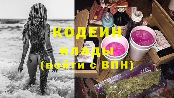 мдпв Рославль