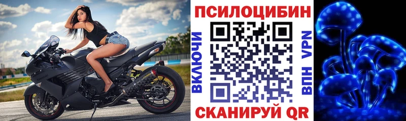Купить  Североуральск  Галлюциногенные грибы GOLDEN TEACHER 